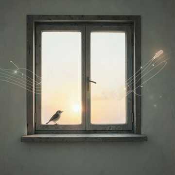 Dawnbird Window
