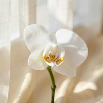 Vows In Bloom