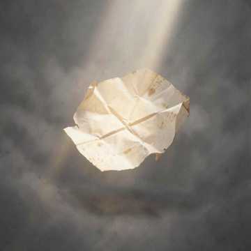 Paper Moon Static